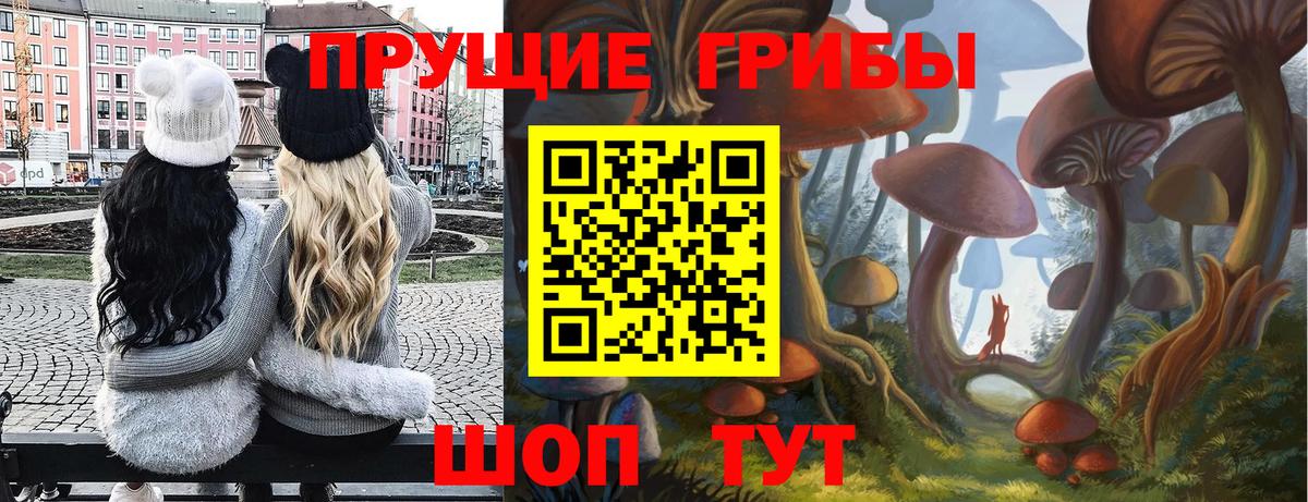 Кировск  Псилоцибиновые грибы прущие грибы  Вход с VPN 